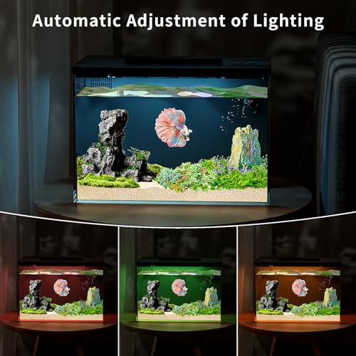 ERAARK 4 Gallon Betta Fish Tank,Smart APP Control Aquarium with Filter,Light,Water Pump,Self Cleaning