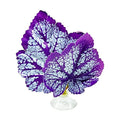Betta Fish Leaf Pad Hammock Simulating Habitat Resting Fish Rest Bed Decor Betta Fish Leaf Pad with Suction Cup