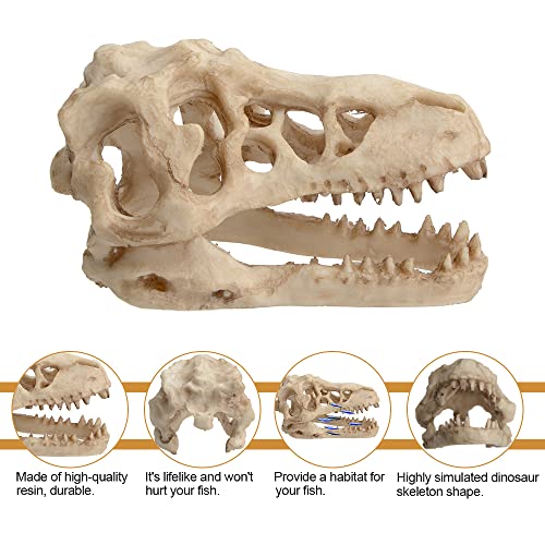 Saim Dinosaur Skull Model Resin Aquarium Decorative Reptile Decor Home Office Display