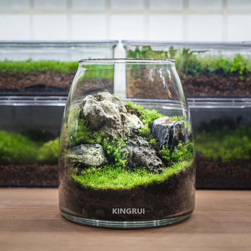 Natural Rocks Seiryu Stone 1-2.5 Inches Decorative Stones for Fairy Gardens,Miniature Landscaping,Bonsai,DIY Crafts, Aquariums & Reptile Terrariums-1lb - size: 1lb(1-2.5Inch)