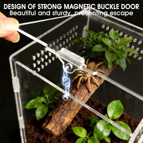 Jumping Spider Enclosure, Acrylic Terrarium with Magnetic Door & All-Side Ventilation, Easy-Clean Habitat for Spider, Tarantula, Mantis, Snail-5.9" x 5.9" x 9.8"(Tweezer and Bowl Included) - size: Basic Vertical-Kit