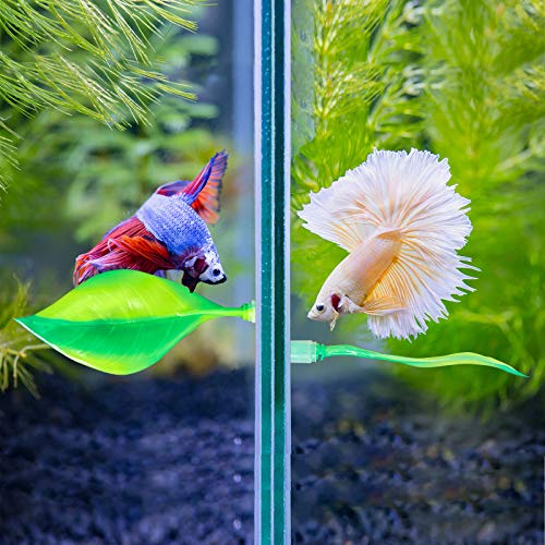 WILLBOND 2 Pcs Green Silicone Betta Fish Bed Leaf Hammock Betta Fish Tank Accessories Decorations for Aquarium Ornaments, Practical Resting Spot, Comfortable and Safe - color: Green