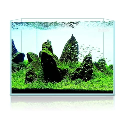 LYPHARD AQUARIUMS 9.5 Gallon Rimless Aquarium, Ultra Clear Glass Low Iron Small Fish Tank for Betta, L15.7×W11.8×H11.8 Inches Thickness 5mm with EVA Foam Mat Included - size: 9.5 Gallons