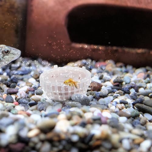 balacoo Aquarium Moss Ball Holder, Plastic Fish Tank Plant Container, Aquarium Moss Holder with Mineral Balls for Shrimp Fish Tank Plant Shaping Accessories