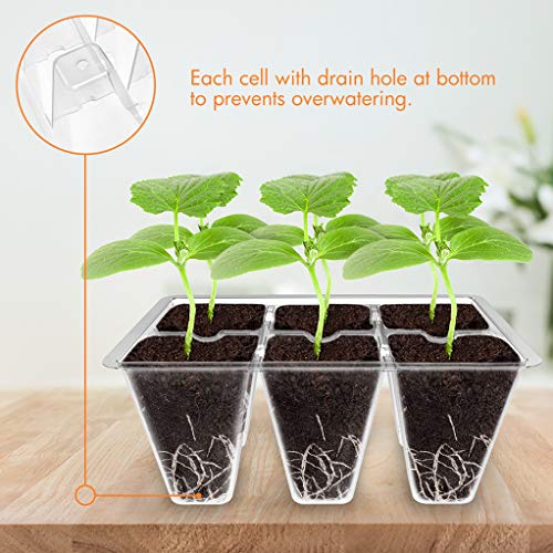 Gardzen 20 Pack Seed Starting Tray, Plant Germination Trays, Seed Starter Kit with Adjustable Humidity Vented Dome, Plant Growing Kit 6.6" x 4.5", Total 240-Cell, Clear - color: Clear, size: 20-Pack