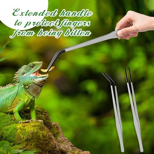 Lasnten 2 Pcs Extra Long Stainless Steel Reptile Feeding Tongs with Rubber Tip 15 Inch Bearded Dragon Aquarium Straight and Curved Long Tweezer Terrarium Feeder Tool for Tank(Silver) - color: Silver, size: 15 Inch