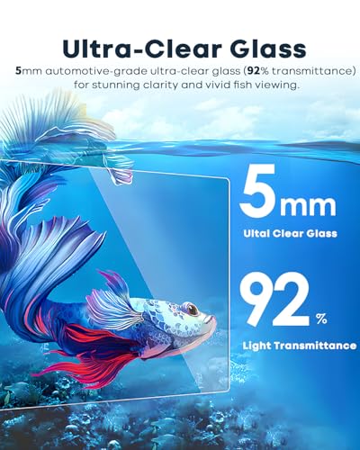 Wonderfactory 5 Gallon Small Aquarium Set Glass Fish Tank 6 Gallon, Starter Kit with Heater Water Pump Cleaning System Filter Bright Light Rocks Gravel Cleaning Tool, Clear Rimless Betta Plants - size: 5 Gallon