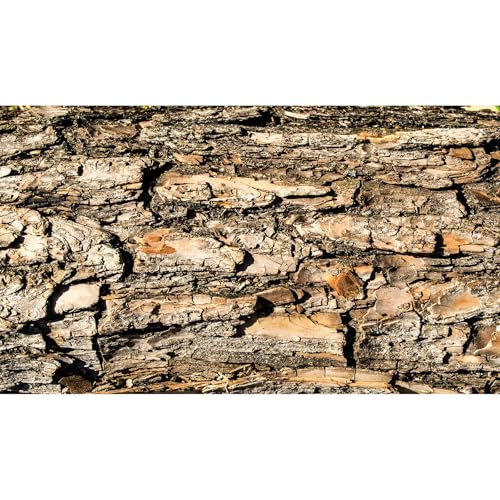 Tree Bark Texture Aquarium Background Rugged Tree Trunk Reptile Tank Background Aged Rough Natural Wooden Bark Habitat Terrarium Background Wooden Textured Aquarium Fish Tank Background Decor 24x12in - color: Brown_Grey, size: 24(W)x12(H)inches/ 60(W)*30c