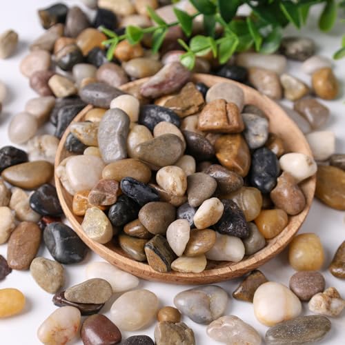 DomeStar River Rocks, Fish Tank Gravel, Pebbles for Plants Decorative Stones for Potted, Vase Filler, Home Decor, Fish Tank, Garden Landscaping, Flower Beds (1 Pound)
