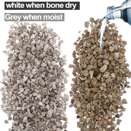 TOYPOPOR Horticultural Bonsai Pumice Succulent Cactus Plants Garden Turface Pumice Gravel Rock Tree Soil Additive Faster Draining Blend, Optimal Drainage, Improves Soil Aeration and Promotes Root 6lbs - color: Pumice Rock, size: 6 lb