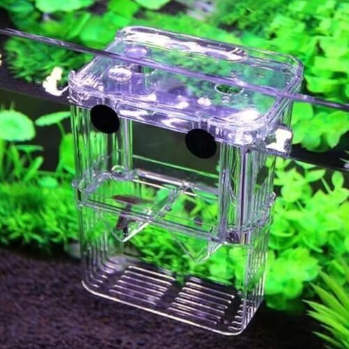 Aquarium Fish Breeder Box,Acrylic White Breeder Isolation Divider Hatching Boxes Accessory,Aquarium Acclimation Hatchery Incubator for Small Baby Fishes Shrimp Clownfish Guppy (S) - color: S