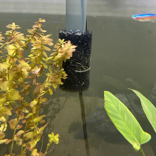 12 Pieces Aquarium Filter Sponge 0.8" Intake Shrimp Filter Coarse Sponge Filter for Aquarium Fish Tank, Protect Fish Fry and Shrimp, Black