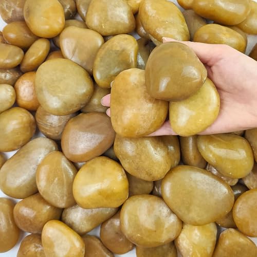 FANTIAN 10 lbs Yellow River Rocks, 2-3 Inch Polished Pebbles for Indoor Plants, Decorative Rocks Stones for Landscaping, Vases, Aquariums, Fountains, Pathways, Backyard and Garden - color: Yellow, size: 10 lbs, 2-3 Inch