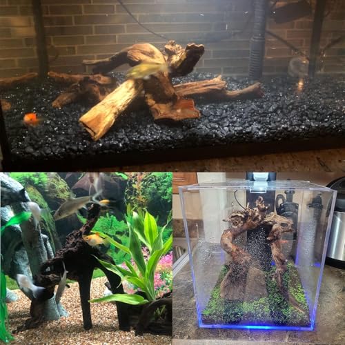 Tfwadmx Aquarium Natural Driftwood Decor Wood Branches, 2 Pieces 8.5-12" Fish Tank Driftwood Decoration, Terrarium Mopani Wood for Aquarium Freshwater Reptile Tank - size: Large: 8-12"(2Pcs)