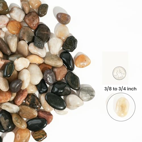 6 LBS River Rocks, StoneCreek, Decorative Garden Stones for Plant Landscaping, Polished Gravel Filler Pebbles for Home Decoration, Vases, Succulents, Flower Beds and Fish Tanks (Mixed Color, Medium) - color: Mixed Color, size: 6 LBS