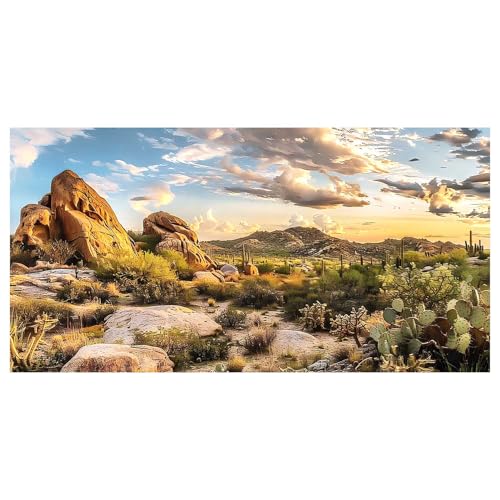 Reptile Habitat Background, Blue Sky Oasis Cactus Sun and Desert Terrarium Background with 6 EVA Double-Sided Tapes 48x24 inches/120x60 - color: Sun, size: 48"L x 24"W