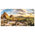 Reptile Habitat Background, Blue Sky Oasis Cactus Sun and Desert Terrarium Background with 6 EVA Double-Sided Tapes 48x24 inches/120x60 - color: Sun, size: 48"L x 24"W