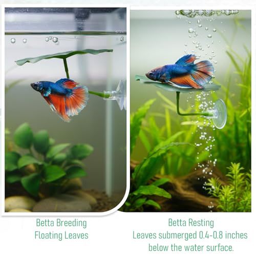3 Pcs Betta Fish Leaf Hammock, Betta Fish Practical Resting Spot Bettas Suction Cup Tank Decor Green Hammock Plant Leaf Pad Fishes Breeding Resting Bed for Fishes Aquarium Decoration Ornaments