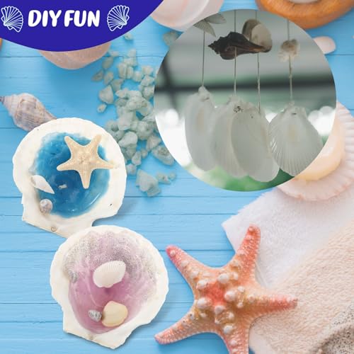 GlikCeil 50 Pcs Sea Shell for Crafting Natural Large Scallop White Oyster Shells Bulk for Decorating DIY Home Decor Beach Wedding Ocean Themed Party(3.5''-3.9'') - size: 3.5''-3.9''