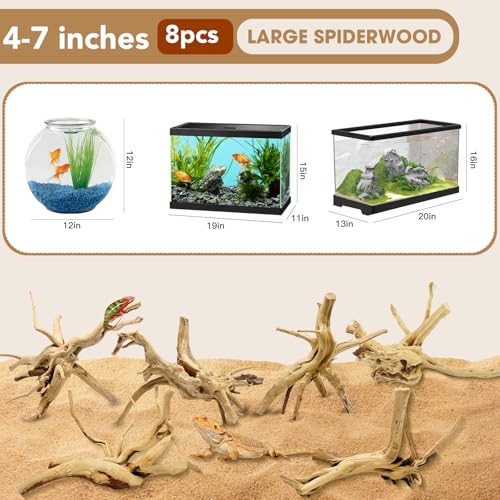 Jorewood Natural Small Spiderwood Driftwood for Aquarium Decor Rptile Fish Tank Decoration Assort Branch 4-7'' 8 Pcs - size: Spiderwood 4 to 8 Inch (Pack of 8)