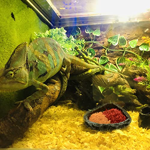 Reptile Feeding Dish 2 Pack Food Dish with Breadworm Feeding for Dragon Leopard Gecko Lizard Spider Scorpion Chameleon (2 Pcs, Deep Color) - color: 2 Pcs deep color