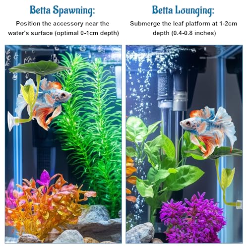 3 Pcs Betta Fish Hammock, Betta Leaf Hammock for Bettas Fish with Suction Cup, Safe Resting Spot for Fishes Tank