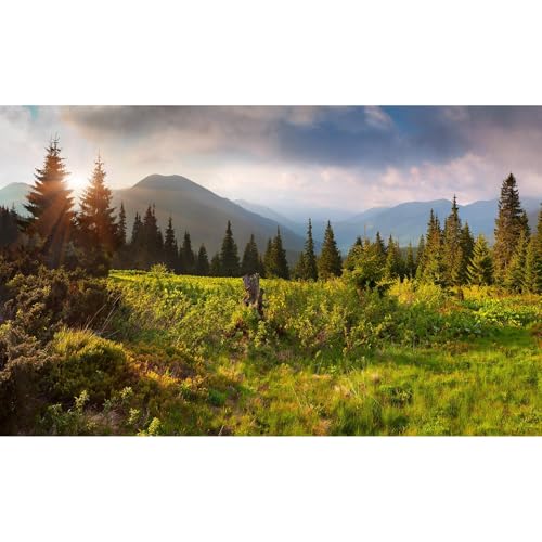 Mountain Valley Aquarium Background Tranquil Sunset Pine Trees Landscape Fish Tank Background Sunrise Scenic Mountain Fir Forests Terrarium Backgrounds Barren Thorns Reptile Tank Backgrounds 24x12in - color: Light Green, size: 24(W)x12(H)in