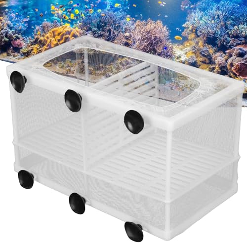 Aquarium Breeder Box with Suction Cups | Detachable Fish Hatchery & Isolation Enclosure | Multi - Functional Incubator for Fry/Unwell Fish/Shrimp | Secure Plastic & Mesh Design (Large with - size: Large with partition