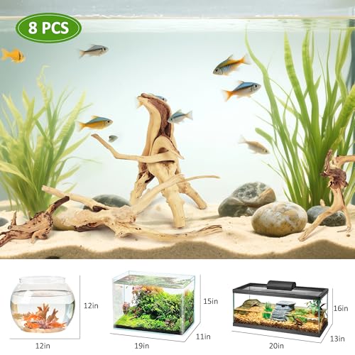 8 Pcs Natural Spider Woods, 4-8 Inch Small Driftwood Branches, Aquarium Driftwood for Reptile Fish Tank Decorations