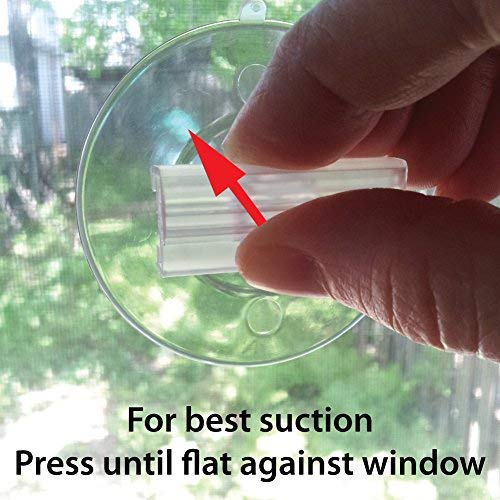 Suction Cup for Signs 1-3/4 inch (45 mm) - 10 Pack - Made in USA (Medium)
