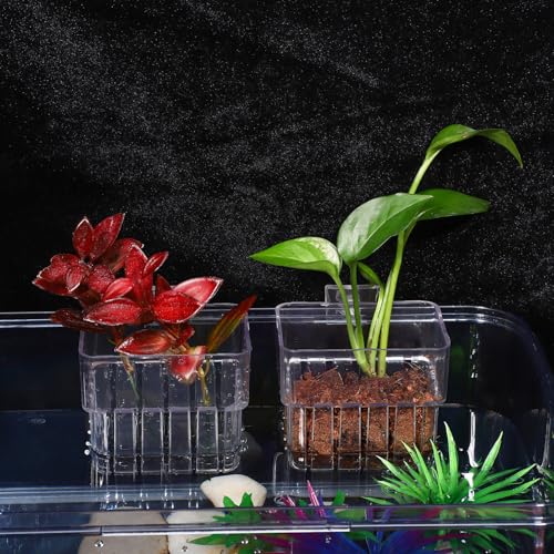 NOLITOY 4pcs Aquarium Holders Transparent Aquatic Cups for Fish Tanks Hanging Planter for Plants Easy Installation Compatibility Aquarium Accessories