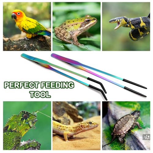 OLIISS Stainless Steel Reptile Feeding Tongs with Rubber Tip - 10.6" Straight & Curved Tweezers for Aquariums & Crafts - Feeder Tools for Bearded Dragons & Lizards - Terrarium Tank Supplies - 2 Pack - size: 10.6 Inch
