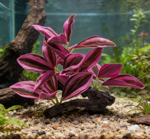 M2cbridge Fish Tank Plastic Soft Grass Artificial Betta Water Plants Decoration Goldfish Hide 2pcs (Purple) - color: Purple