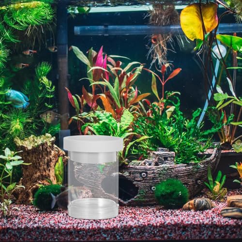 Beavorty Small Fish Breeding Isolation Box Floating Aquarium Hatchery Incubator with Divider and Egg Net for Guppy Fry Nursery in Fish Tanks