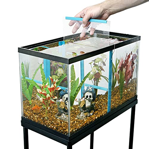 Penn-Plax Fish Tank Divider – Clear, Perforated Polymer Screen – 11 3/8” x 9 5/8” – Medium – Great for 10 Gallon Aquariums (Pack of 2) - size: Medium (Pack of 2)