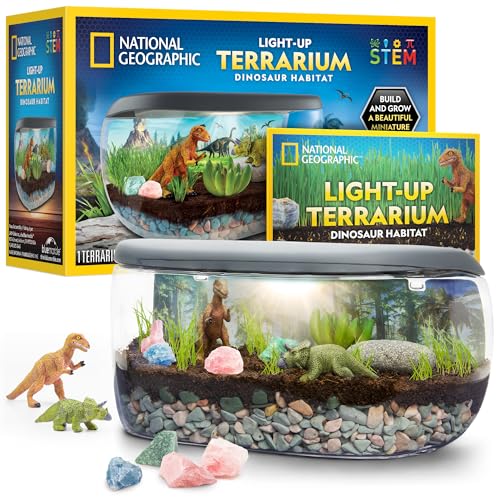 National Geographic Light Up Dinosaur Terrarium Kit for Kids – Build a Dino Habitat with Real Plants & Gemstones, Night Light, Science Kit, Dinosaur Toys for Kids Ages 6 7 8 9 (Amazon Exclusive) - style: Large Dino Habitat