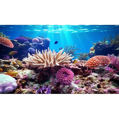 Underwater World Aquarium Background Sea Urchin Coral Reef Teeming with Marine Life Terrarium Background Deep Ocean Tropical Marine with Sunbeams Fish Tank Backdrop Poster Decor Vinyl 24x12in - color: Reef Brown, size: 24(W)x12(H)in