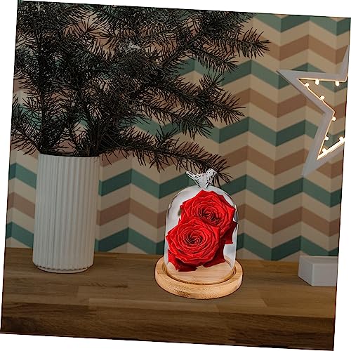 Happyyami Flower Glass Cover Display Cloche Dome Party Dried Flower Vase Plant Decor Bird House Decor Showcase Display Dome Cloche Tabletop Display Dry Flower Botanical Cute Room Wooden