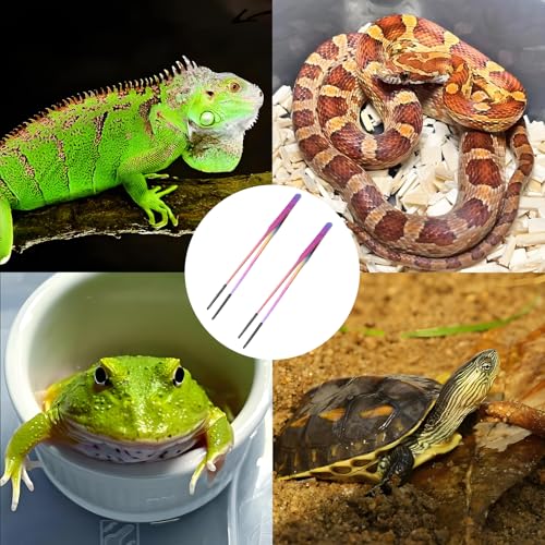 Reptile Feeding Forceps, 2 Pieces with Rubber Tips, 10.6-Inch Straight and Curved Tweezers, Aquarium Supplies, Dazzling Colors - color: Dazzling Colors