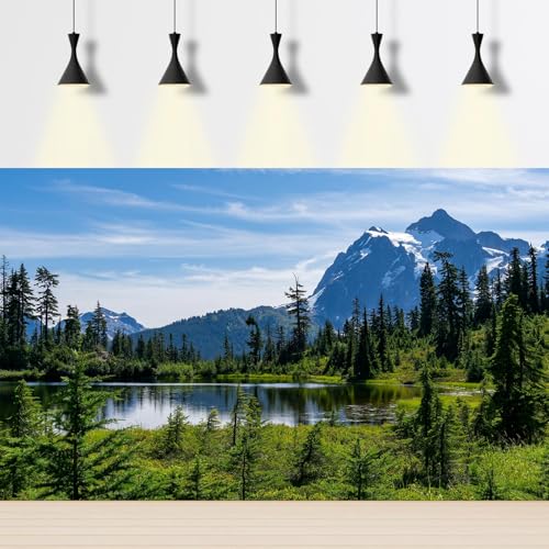 Majestic Picture Lake Aquarium Background Lush Alpine Meadows Evergreen Forests Fish Tank Background Scenic Mountain Tranquil Lake Terrarium Backgrounds Green Meadow Reptile Tank Backgrounds 24x12in - color: Green_Blue, size: 24(W)x12(H)in