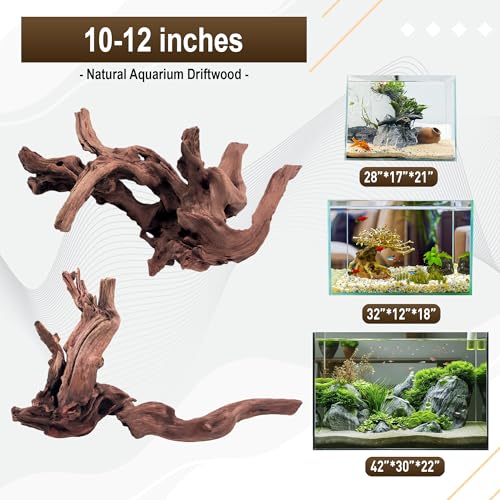 Kaiyuan Dynasty 2Pcs 10-12" Natural Coral Driftwood for Fish Tank Decorations Aquarium Driftwood for Reptile Aquatic Plants Aquascaping - size: Driftwood 10 to 12 Inch(Pack of 2)