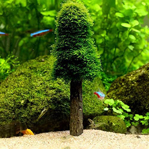 Aquarium Moss Decoration Fish for Holder Creating Your Own Trees Landscape Grow
