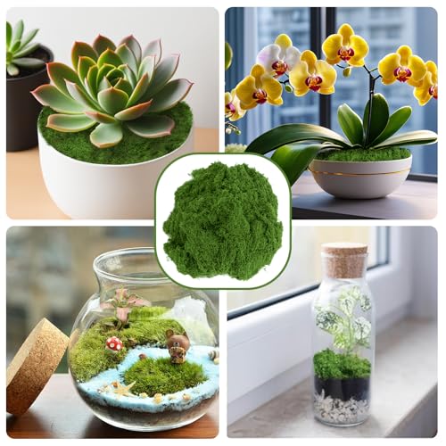Fake Green Moss for Potted Plants,Artificial Moss for Crafts Indoor,DIY Table Decorating Fairy Garden Accessories Wedding Party Floral Decor Outdoor (Light Green 5.3oz) - color: Light Green 5.3oz