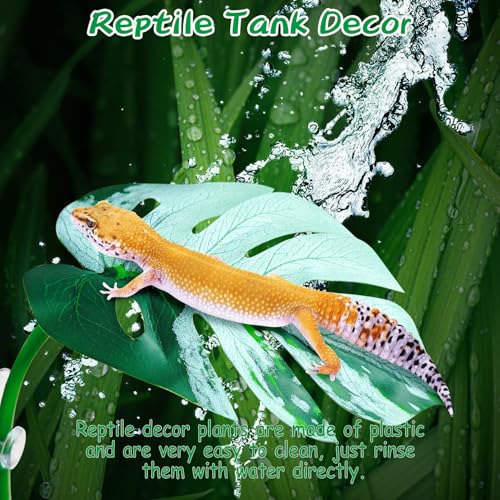 BNOSDM 6 Pcs Crested Gecko Tank Accessories Frog Habitat Platform with Suction Cups Amphibian Plastic Leaf Decoration Reptile Basking Resting Spot for Turtles Lizards (White)