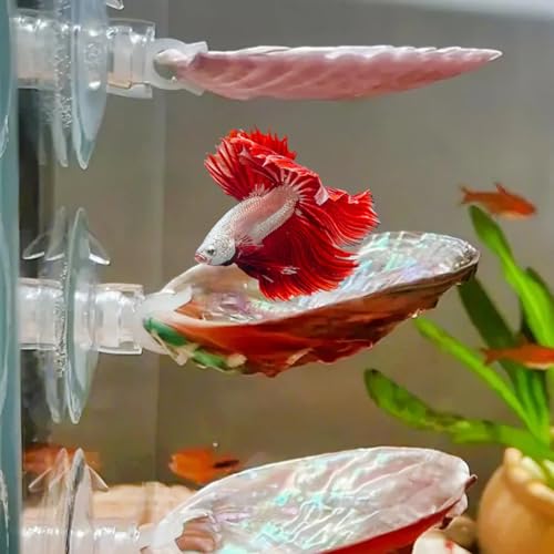 CAIJ 4 Pcs Betta Fish Resting Spot Shell Bed for Aquarium, Betta Hammock with Suction Cups, Natural Shell Habitat Designed for Betta, Fish Tank Accessories Decorations