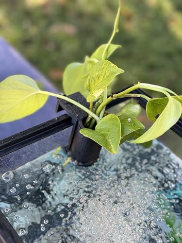 The Tube 3D Printed Aquarium Plant Holder - Pothos & Stemmed Plants - Aquascaping & Fish Tank Tool Holder for 10-200 Gallon Rimmed Tanks