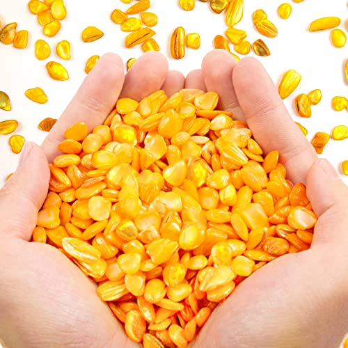 QICQDRAM Crushed Shells for Crafts About 1LB (405g/14.28oz) Small Natural Crushed Shells Bulk for Crafts DIY Beaching Wedding Decoration Vase Fillers (Golden Yellow) - color: Golden Yellow, size: 1LB (405g/14.28oz)