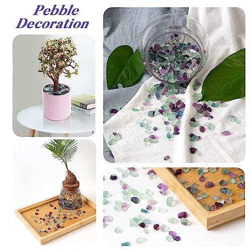 QICQDRAM Polished Fluorite Gravel Rocks Bulk 0.9 Lb/405g Natural Tumbled Crystal Chips Decorative Pebbles for Home Decoration & Fish Turtle Tank, Vase Filler, Plants Decor - color: Fluorite