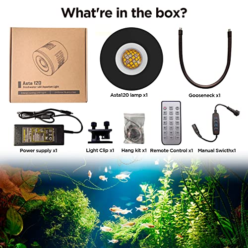 Lominie LED Aquarium Light, Dimmer Remote Control 0-100% Brightness 80W Planted Fish Tank Light Clamp Clip Lamp for Freshwater Refugium Algae Fish Tank with Gooseneck - size: A120 Freshwater