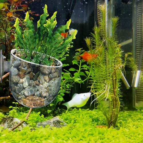 2Pcs Fish Tank Plant Holder Aquarium Plant Pot Suction Cup Planter Clear Acrylic Aquatic Plants Pot Aquarium Plants Cup for Fish Tank Decorations Water Culture Decor